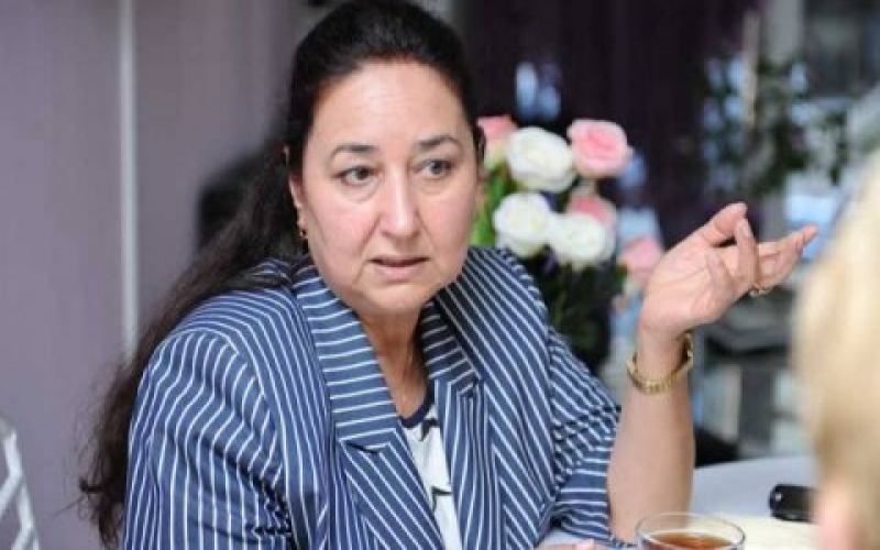 Telli Pənahqızı Azərbaycan ziyalılarına müraciət etdi: Telli Pənahqızı Azərbaycan ziyalılarına müraciət etdi: