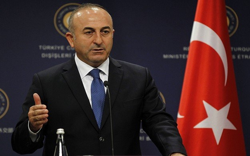 Çavuşoğlu:  “Qərənfillər Xarı bülbüllə birgə çiçəkləyir”