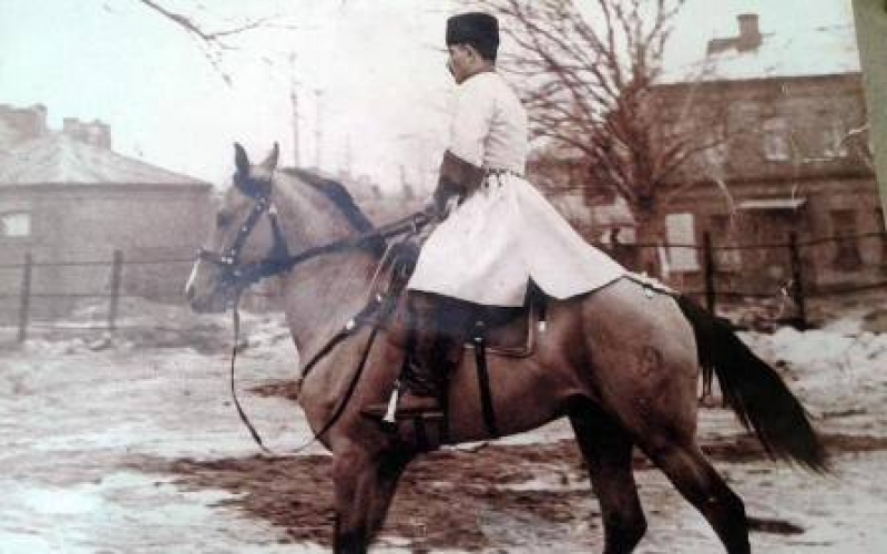 Kraliçanı göz yaşına boğan Qarabağ atı 