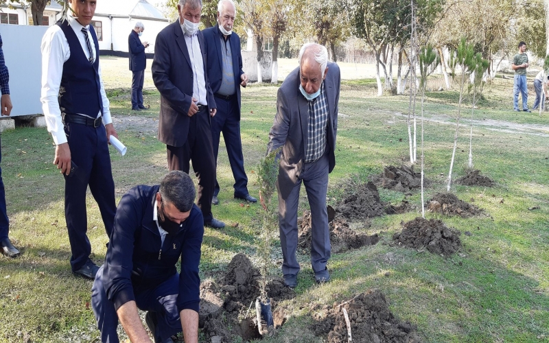 Telişli ekomiqrant icması üçün 4 yeni təsərrüfat yaradılıb 