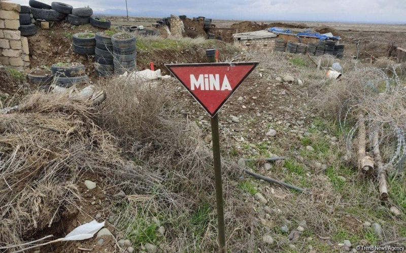 “Rusiya Ermənistandan mina xəritələrini tələb edir” -  Vardanyan