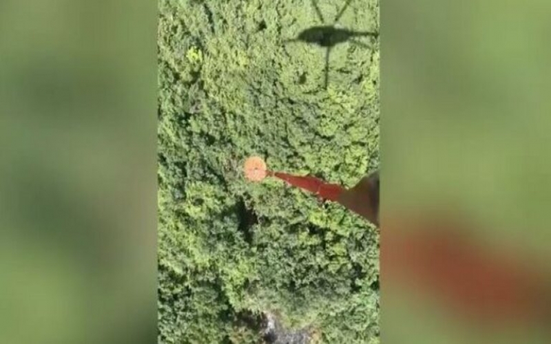 Cəbrayılda yanğın oldu - Əraziyə helikopter cəlb edildi -  VİDEO