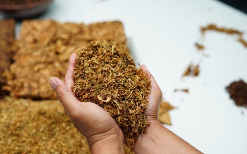 Azərbaycan tütününün satış qiyməti artıb 