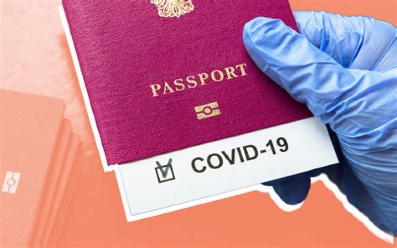 Saxta COVID pasportu satan şəxs saxlanılıb 