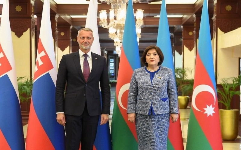 Rixard Raşinin başçılıq etdiyi nümayəndə heyəti Milli Məclisdə olub -   FOTO