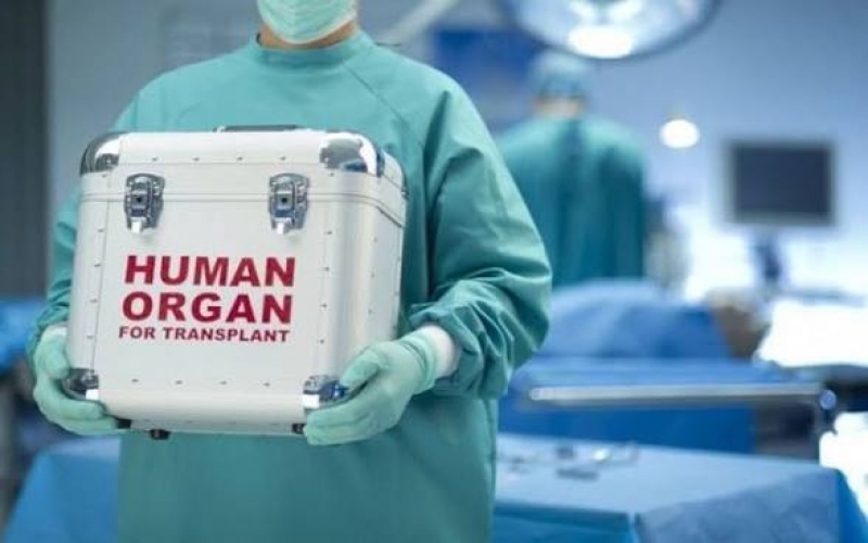 Azərbaycanda keçmiş məmur orqanlarını bağışladı  - ÖZƏL