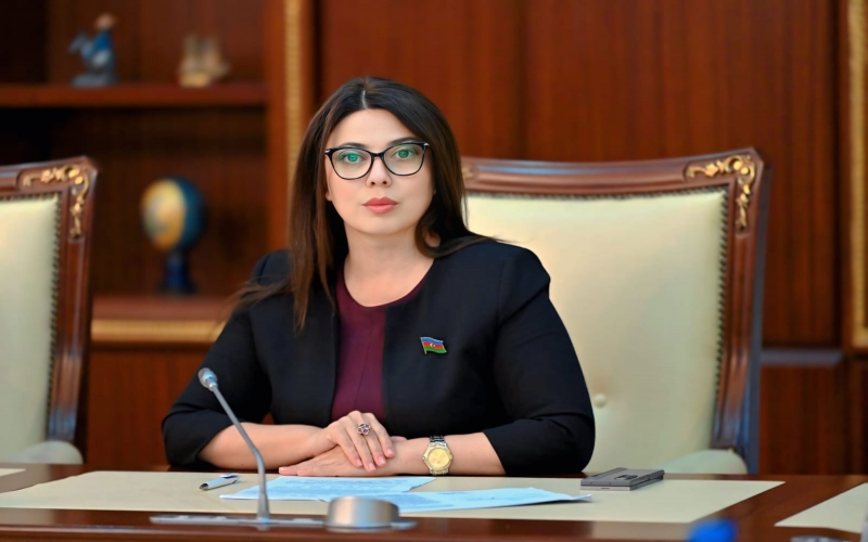 Azərbaycan-Türkmənistan münasibətləri : strateji tərəfdaşlığın yeni mərhələsi