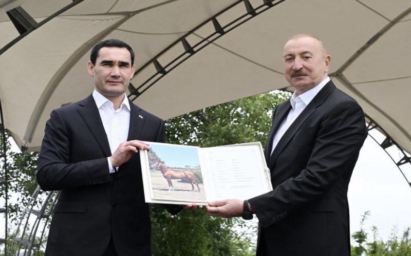 Prezident türkmənistanlı həmkarına Qarabağ atı hədiyyə etdi  - FOTOLAR