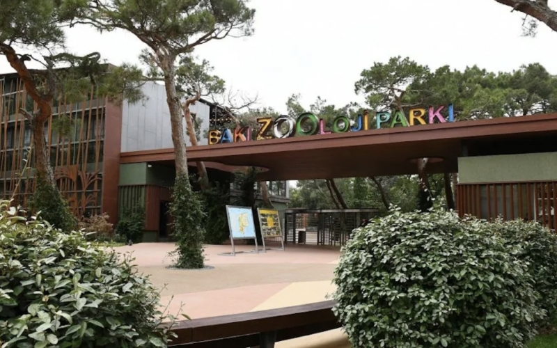 Bakı Zooparkı ləğv edilir   - RƏSMİ